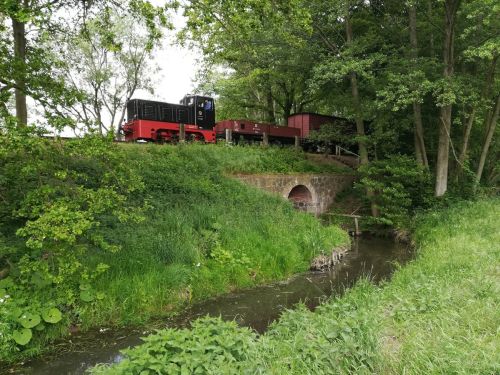 Fotogüterzug am 31. Mai 2019