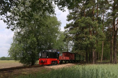 Fotogüterzug am 31. Mai 2019