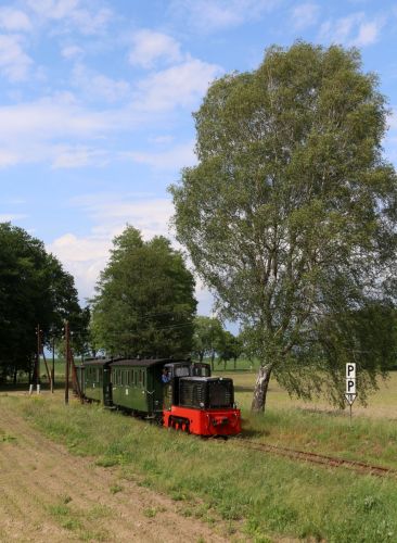 Fotogüterzug am 31. Mai 2019