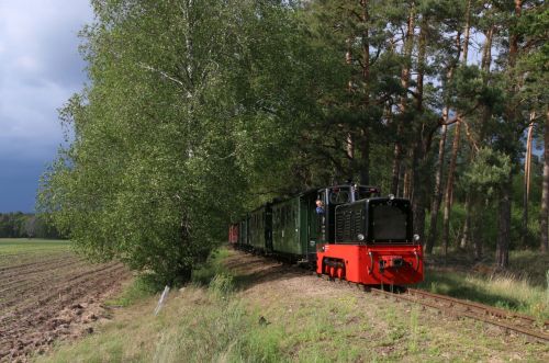 Fotogüterzug am 31. Mai 2019