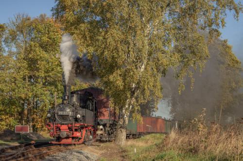 Fotozüge im Herbst 2023