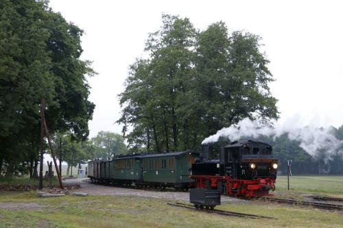 Öffentlicher Fotozug am 30. Mai 2025