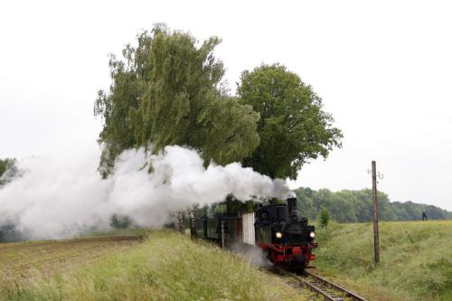 Öffentlicher Fotozug am 30. Mai 2025