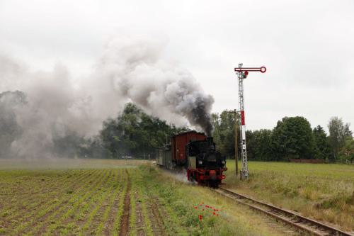 Öffentlicher Fotozug am 30. Mai 2025