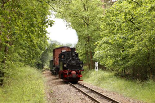 Öffentlicher Fotozug am 30. Mai 2025