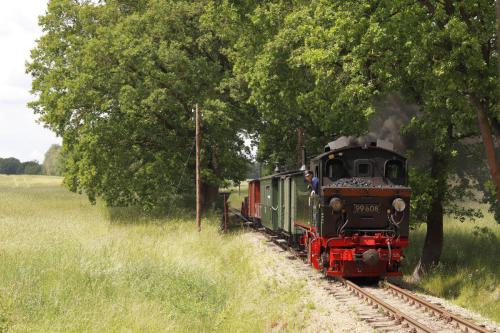Öffentlicher Fotozug am 30. Mai 2025