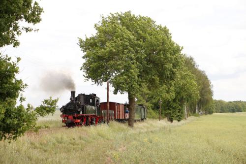 Öffentlicher Fotozug am 30. Mai 2025
