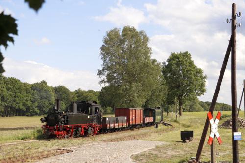 Öffentlicher Fotozug am 30. Mai 2025