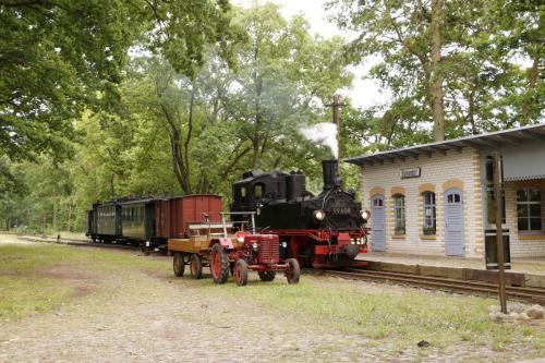 Öffentlicher Fotozug am 30. Mai 2025